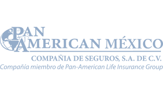 Logo - Pan American Mexico